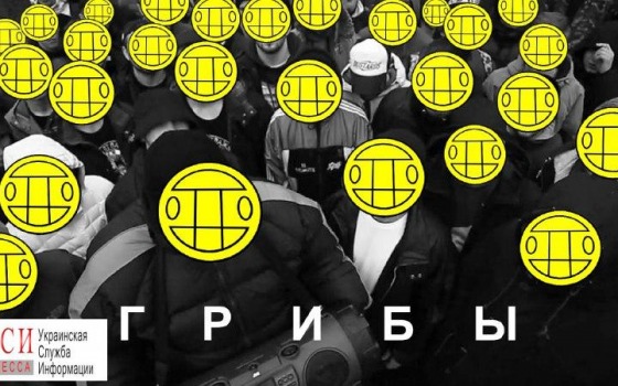 Стерненко передумал протестовать против “Грибов”, но “простил их в последний раз” «фото»