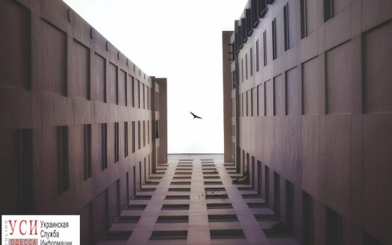 В мэрии отменят резонансное решение о строительстве высотки на Ильфа и Петрова «фото»