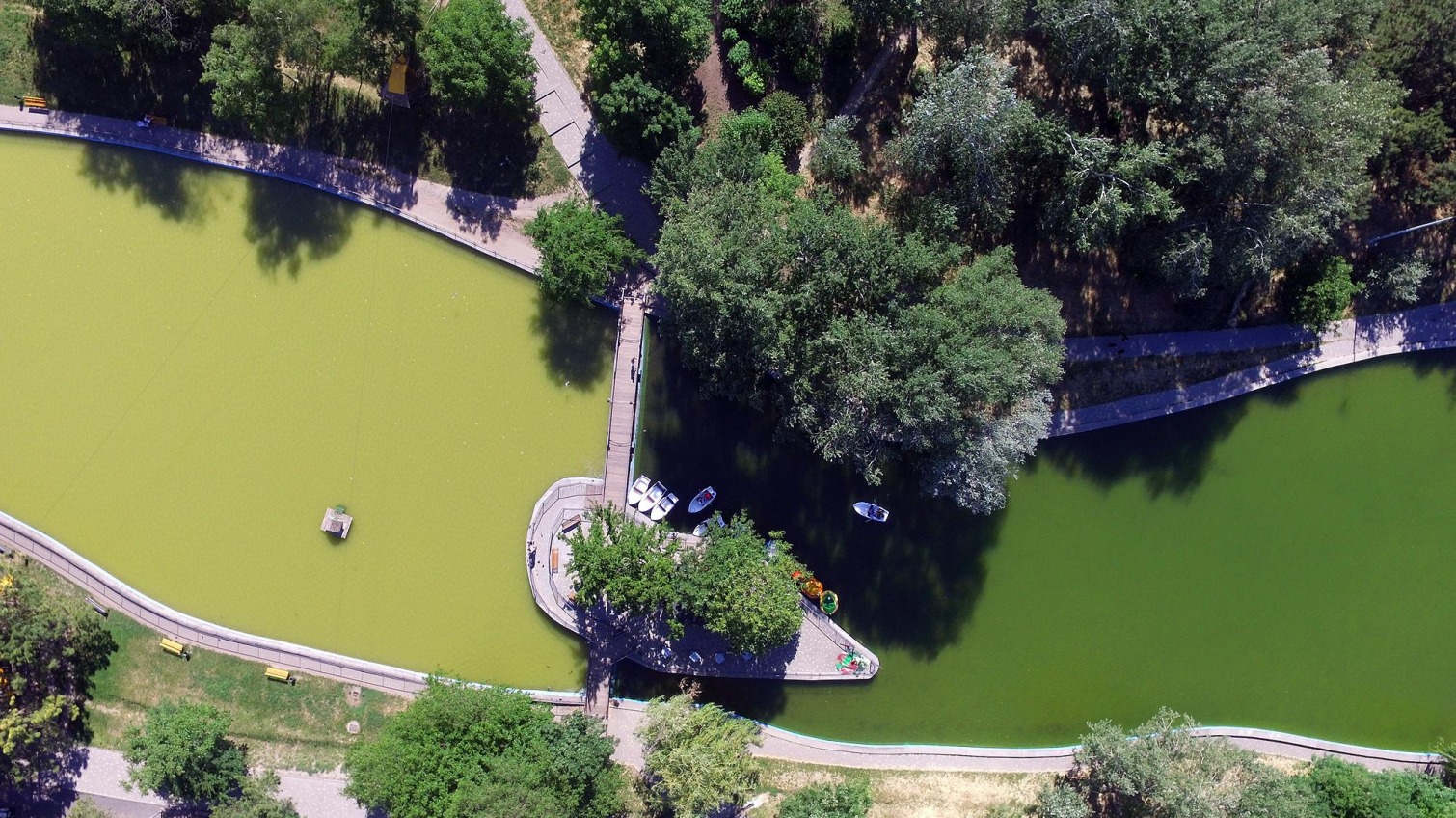 Особенности одесских прудов: грязная вода и зеленые водоросли (фоторепортаж) «фото»