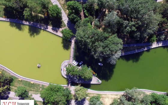Особенности одесских прудов: грязная вода и зеленые водоросли (фоторепортаж) «фото»