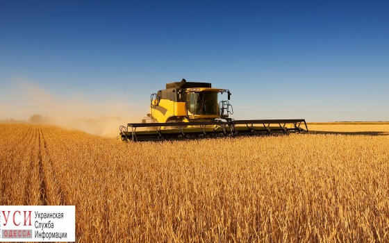 Одесская область: арендаторы два года не платили за 105 гектаров государственной земли «фото»