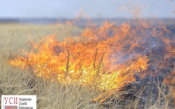В Одесской области из-за жары начались пожары: спасатели проводят рейды (фото) usionline.com В Одесской области из-за жары начались пожары: спасатели проводят рейды (фото) «фото»