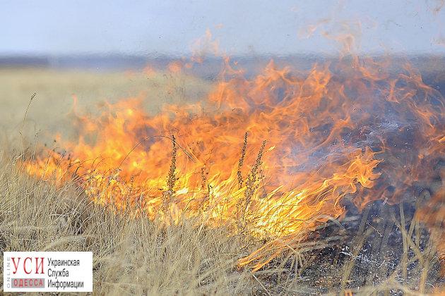 В Одесской области из-за жары начались пожары: спасатели проводят рейды (фото) «фото»