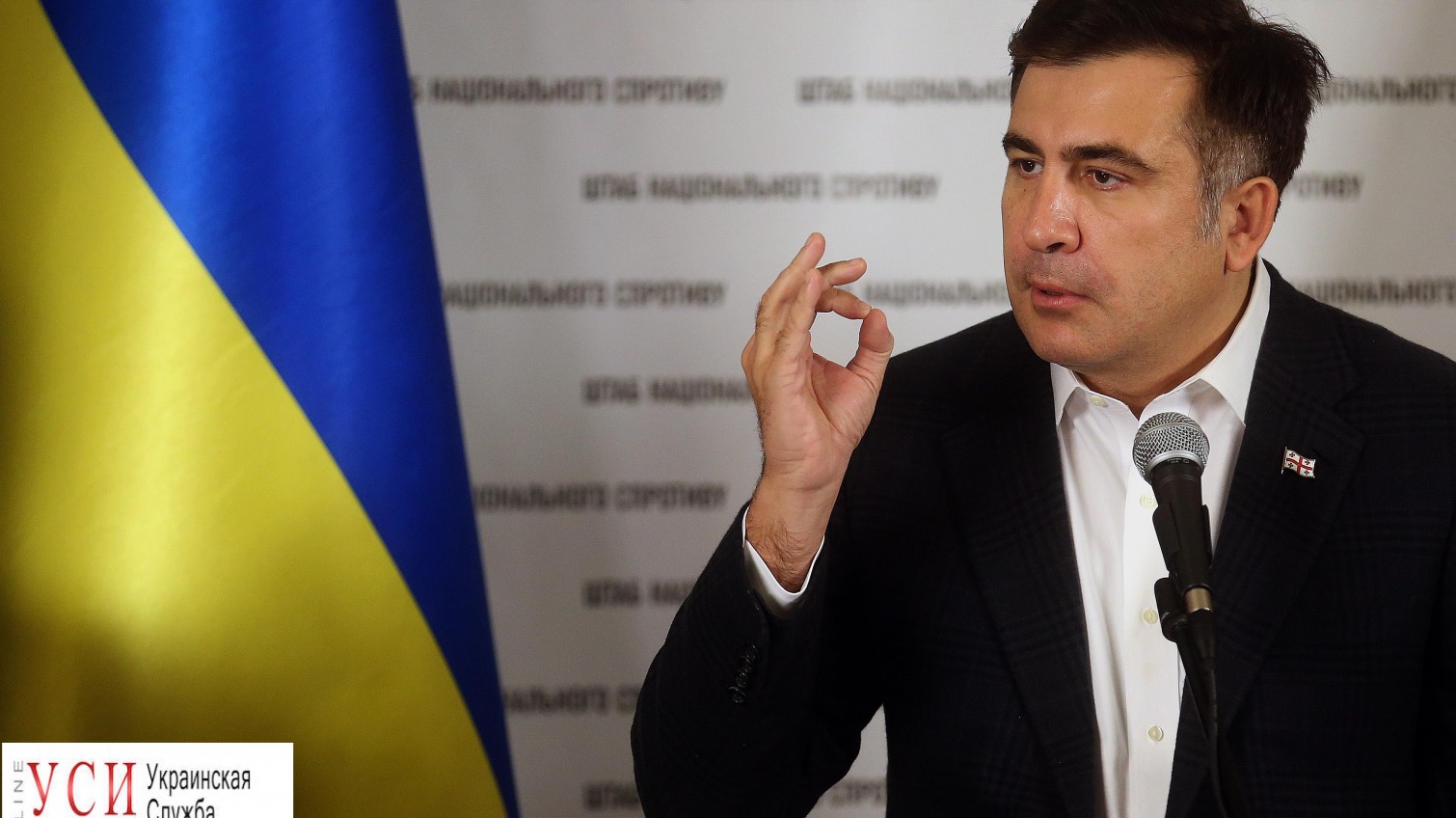 Саакашвили могут лишить украинского гражданства вслед за Боровиком «фото»