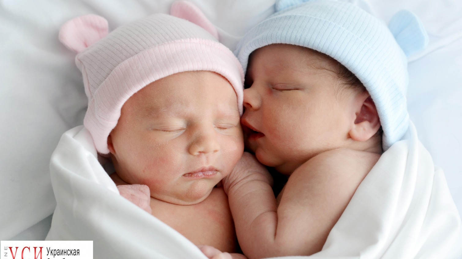 На прошлой неделе в Одессе родились 14 малышей-двойняшек «фото»