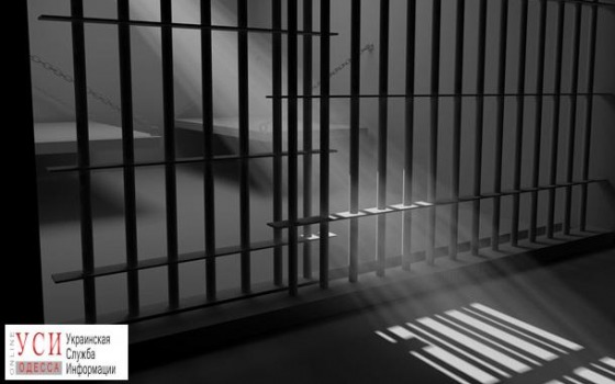 Аудиторов-взяточников и директора лесхоза отправили в СИЗО «фото»