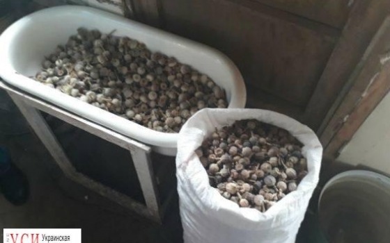 Пенсионер хранил дома 8 килограммов наркотиков «фото»