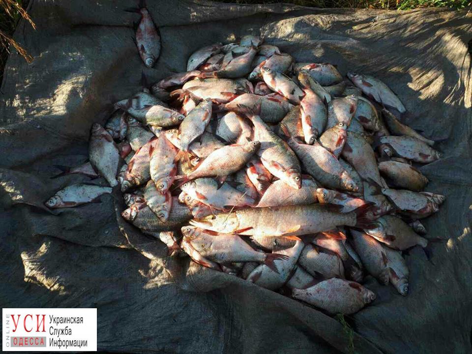 На озере в Одесской области задержали браконьера (фото) «фото»