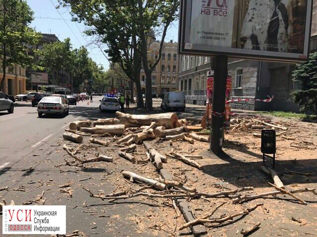 В центре Одессы вырубили многовековые платаны (фото) «фото»