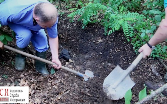 Подробности резонансного убийства: двое мужчин убили и ограбили одесситку (фото, видео) «фото»