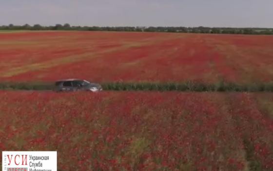 Украинские последователи “National Geographic” сняли ролик о Бессарабии (видео) usionline.com Украинские последователи “National Geographic” сняли ролик о Бессарабии (видео) «фото»