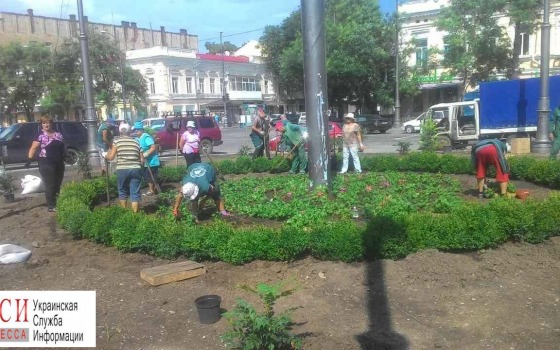 С опозданием на три месяца: коммунальщики садят цветы на Тираспольской площади (фото) «фото»