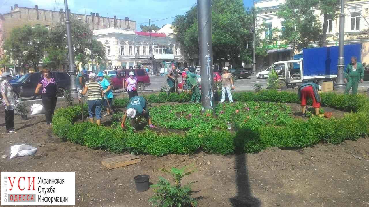 С опозданием на три месяца: коммунальщики садят цветы на Тираспольской площади (фото) «фото»