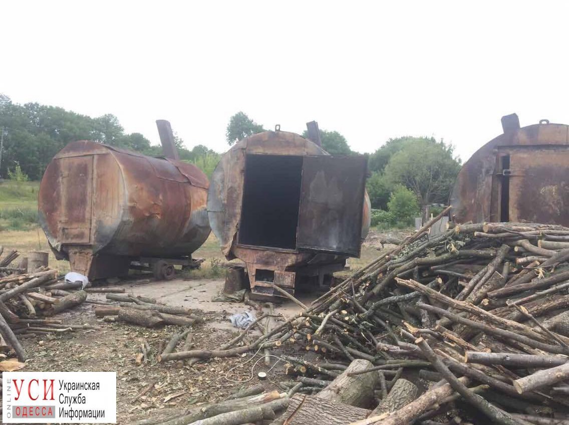 Сезон шашлыков: в Одесской области накрыли нелегальный цех по производству древесного угля (фото) «фото»