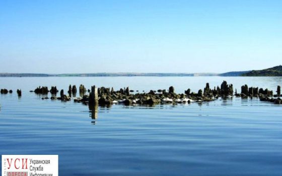 Одесса: жителям межлиманья грозит подтопление, а опасные стоки могут попасть в водоёмы: виновником называют Евротерминал и свалку «фото»