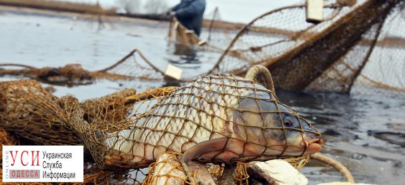 В Одесской области задержали браконьеров с крупным уловом (фото) «фото»