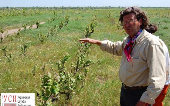 “Виноградников Лакарена” не существует, – полиция «фото»