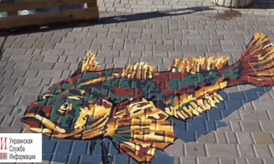 Бычок: в центре Одессы появился новый 3D стрит-арт (видео) «фото»
