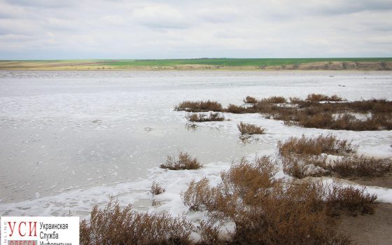 Куяльник больше не пересыхает: уровень воды достиг десятилетнего максимума «фото»
