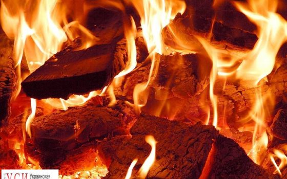 В Одесской области подожгли ферму: погибли животные «фото»