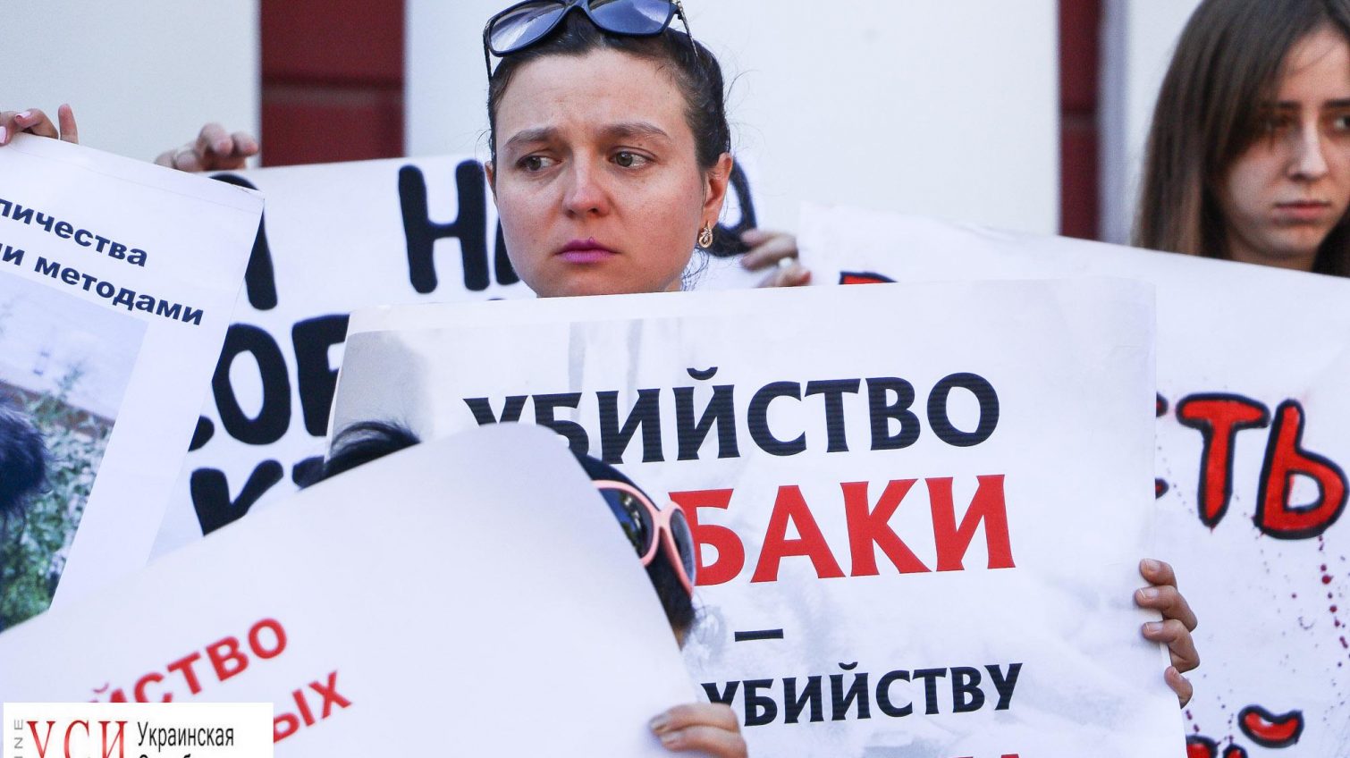 Одесситы поддержали законопроект о гуманном отношении к животным (фоторепортаж) «фото»