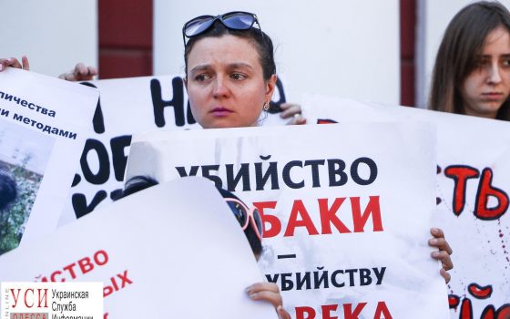 Одесситы поддержали законопроект о гуманном отношении к животным (фоторепортаж) usionline.com Одесситы поддержали законопроект о гуманном отношении к животным (фоторепортаж) «фото»