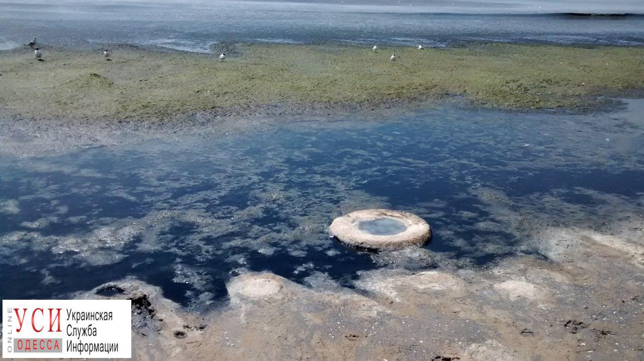 Гниющий пляж на поселке Котовского утопает в грязи (фото) «фото»