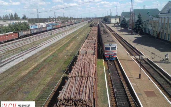 Из Одесской области пытались вывезти 40 вагонов древесины в оккупированный Донецк (фото) «фото»