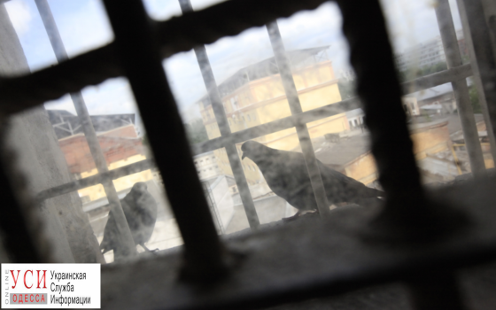 В одесском СИЗО сокамерники убили арестанта usionline.com В одесском СИЗО сокамерники убили арестанта «фото»