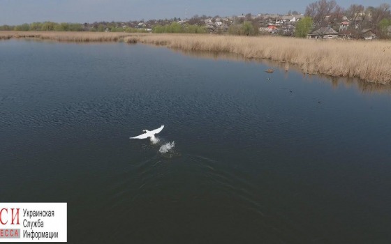 В Одесской области из реки достали тело утопленника «фото»