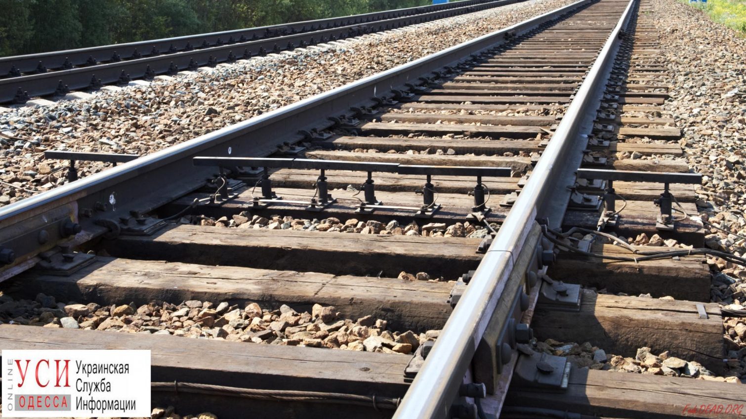 Самоубийца бросился под поезд в Одессе «фото»
