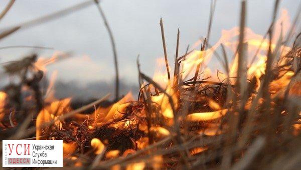 В Одесской области объявлена 5 степень пожароопасности «фото»