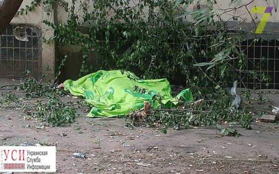 Самоубийство на Таирова: женщина сбросилась из окна многоэтажки (фото) «фото»