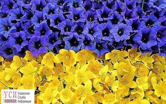 Нескольких жителей Одессы и области в честь Дня независимости отметили наградами «фото»