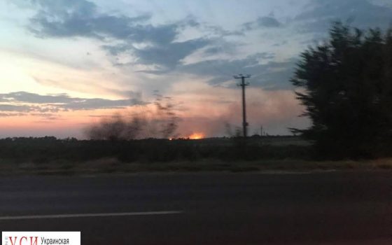 Аномальная жара: под Одессой горят поля (фотофакт) «фото»