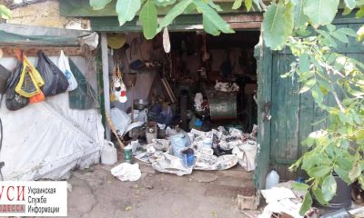 Одесская область: мужчина хранил у себя дома 2 кг конопли (фото) «фото»