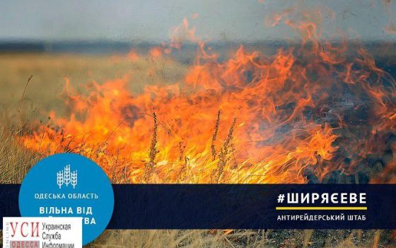 Антирейдерский штаб: ширяевские власти покрывали бандитов, а активисты-патриоты работали за деньги «фото»