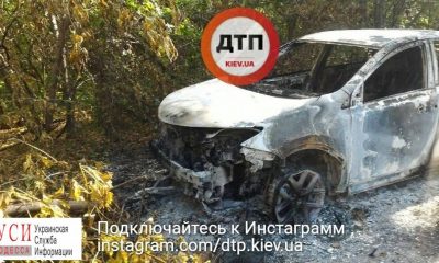 На трассе Киев – Одесса сгорел автомобиль (фото) «фото»