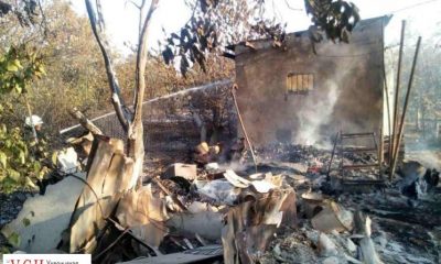 Масштабный пожар: в садовом товариществе сгорели 8 домов (фото) «фото»