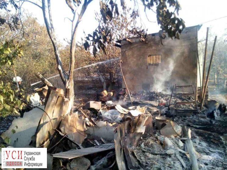 Масштабный пожар: в садовом товариществе сгорели 8 домов (фото) «фото»