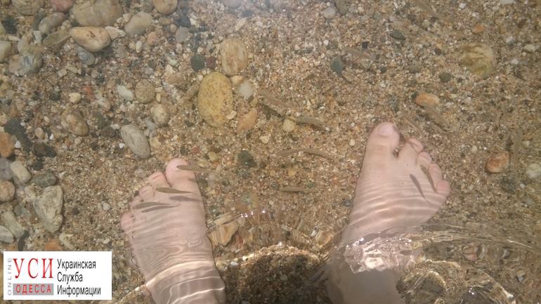 На одесских пляжах запретили купаться «фото»