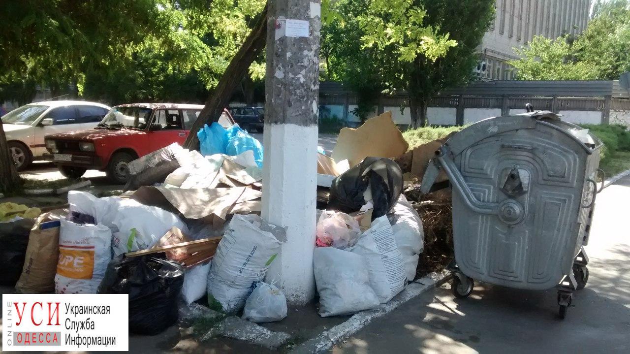 Одесса утопает в мусоре: в мэрии винят мусоровывозящие компании «фото»