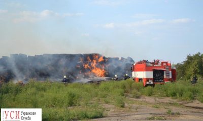 В Лиманском районе выгорело поле (фото) «фото»