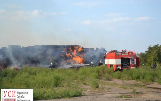 В Лиманском районе выгорело поле (фото) «фото»