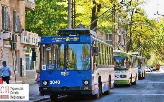 В Одессе упавшее дерево парализовало работу троллейбусов usionline.com В Одессе упавшее дерево парализовало работу троллейбусов «фото»