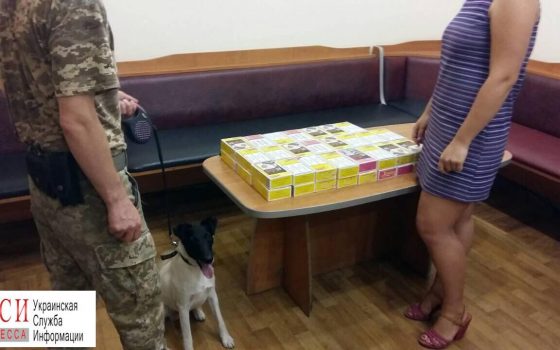 Служебный пес пограничников нашел табак для кальяна, который пытались незаконно ввезти через Одесский аэропорт (фото) «фото»