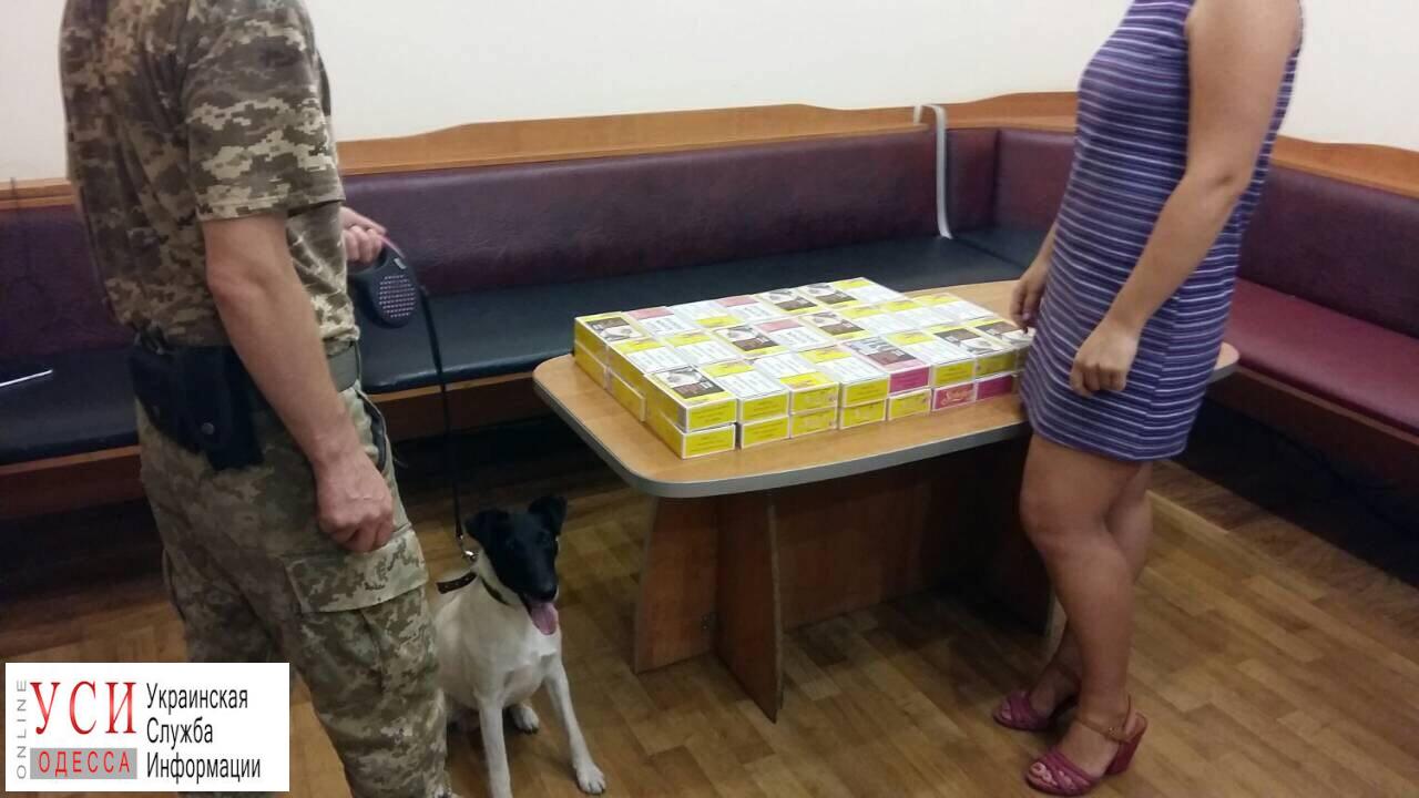 Служебный пес пограничников нашел табак для кальяна, который пытались незаконно ввезти через Одесский аэропорт (фото) «фото»