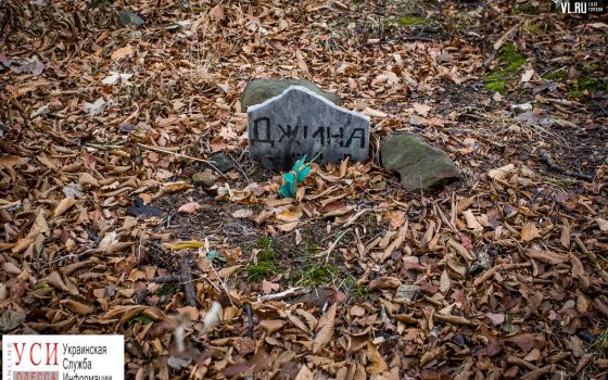 В Одессе до сих пор не разобрались с проблемой захоронения животных «фото»