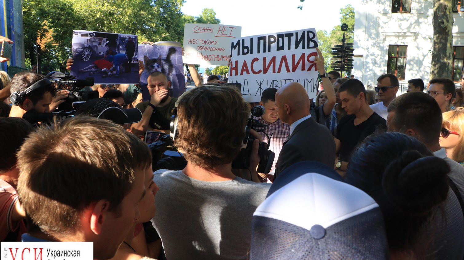 “Ваше безразличие – их смерть”: одесские зоозащитники пикетировали Департамент экологии и мэрию (фото) «фото»