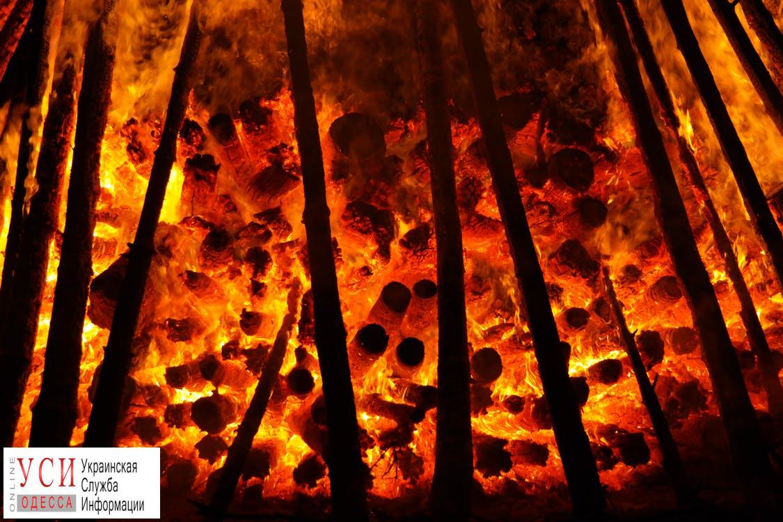 Ночью в Татарбунарском районе загорелся лес «фото»